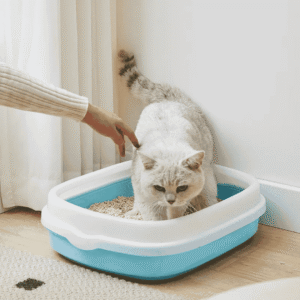 Cat Litter Tray with Scoop