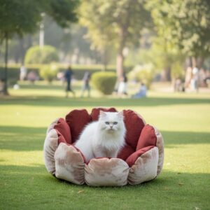 Sunflower Shape Bed for Cats