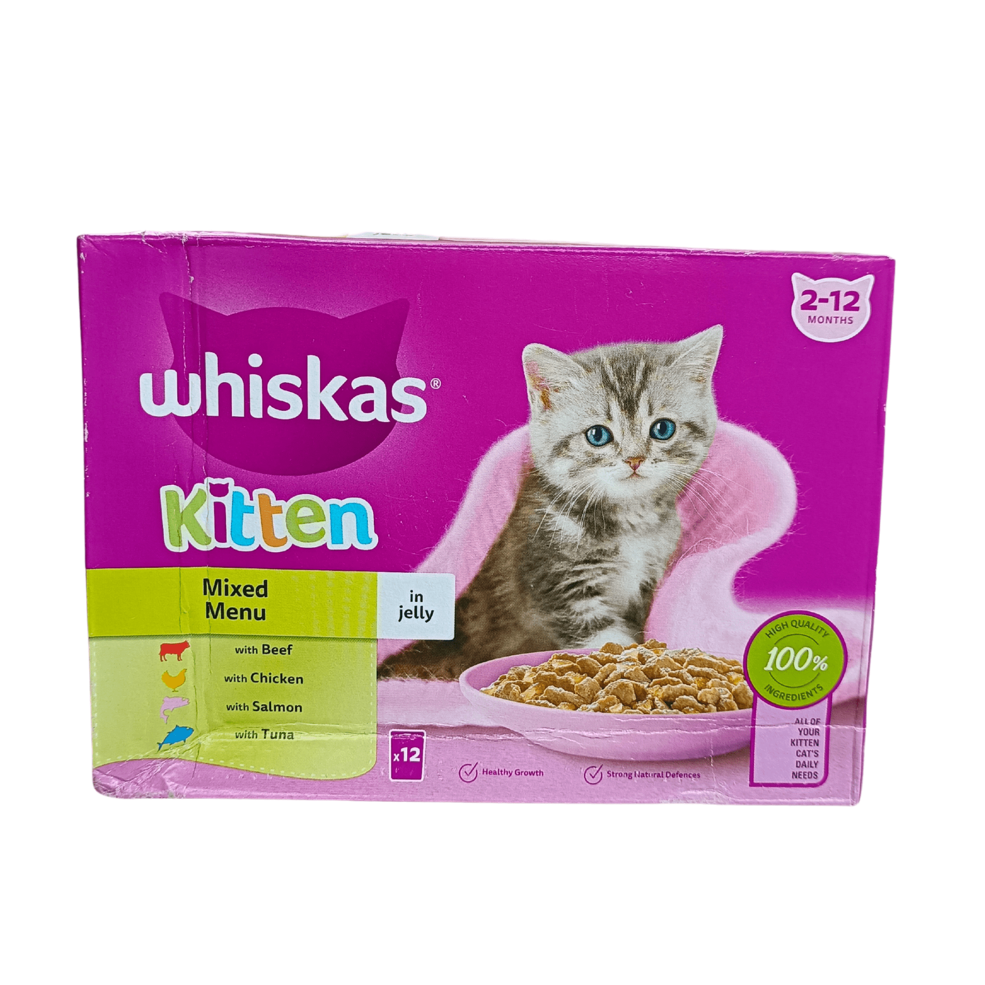 2 month shop old kitten food