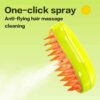 Pet steamy Grooming Brush with free shipping