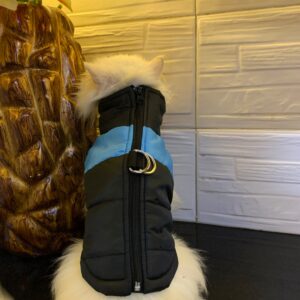 Winter Jacket for pets