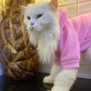 Pink Hoodie (large)