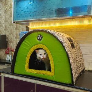Doom house for Cats & puppies
