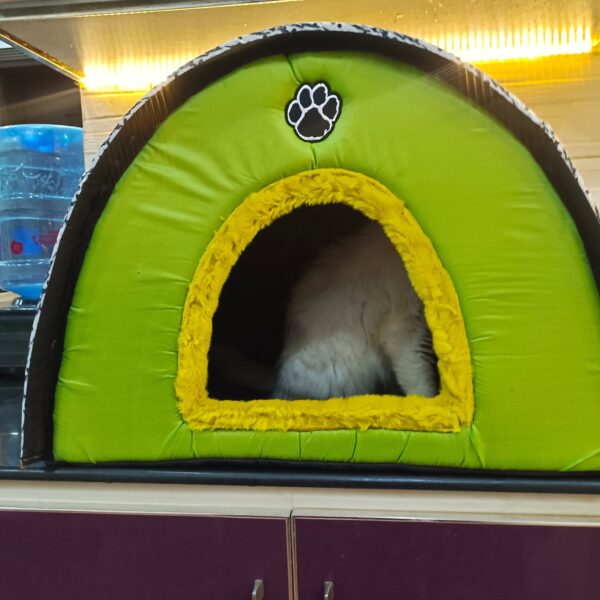 Doom house for Cats & puppies - Image 5