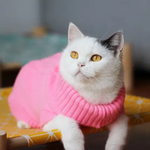 Baby Pink Sweater (Large)