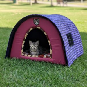 Doom house for Cats & puppies