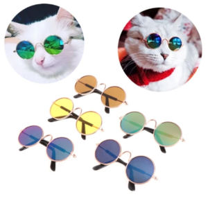 Cat SunGlasses