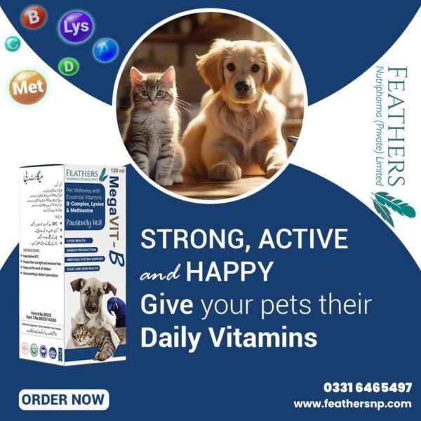 Megavit B syrup (multivitamin for pets)