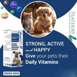 Megavit B syrup (multivitamin for pets)