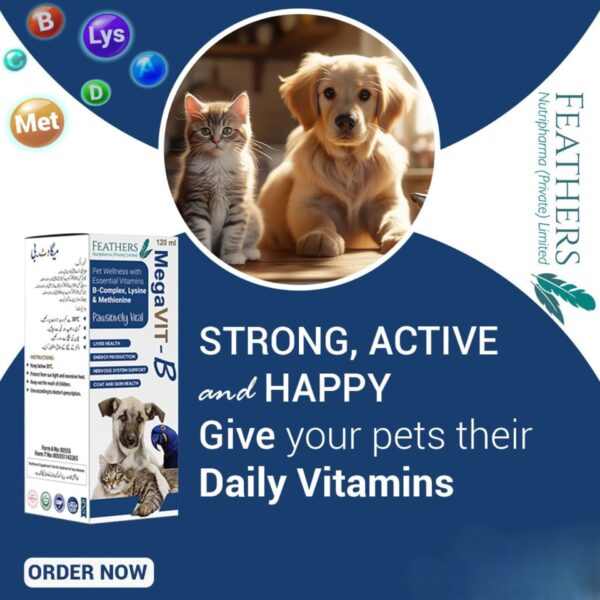 Megavit B syrup (multivitamin for pets)