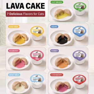 Pet Flori Cat Lava Cake - 65gm