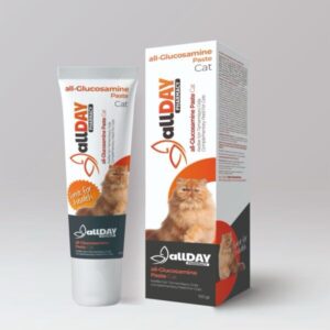 All Day All Glucosamine Paste - 100gm