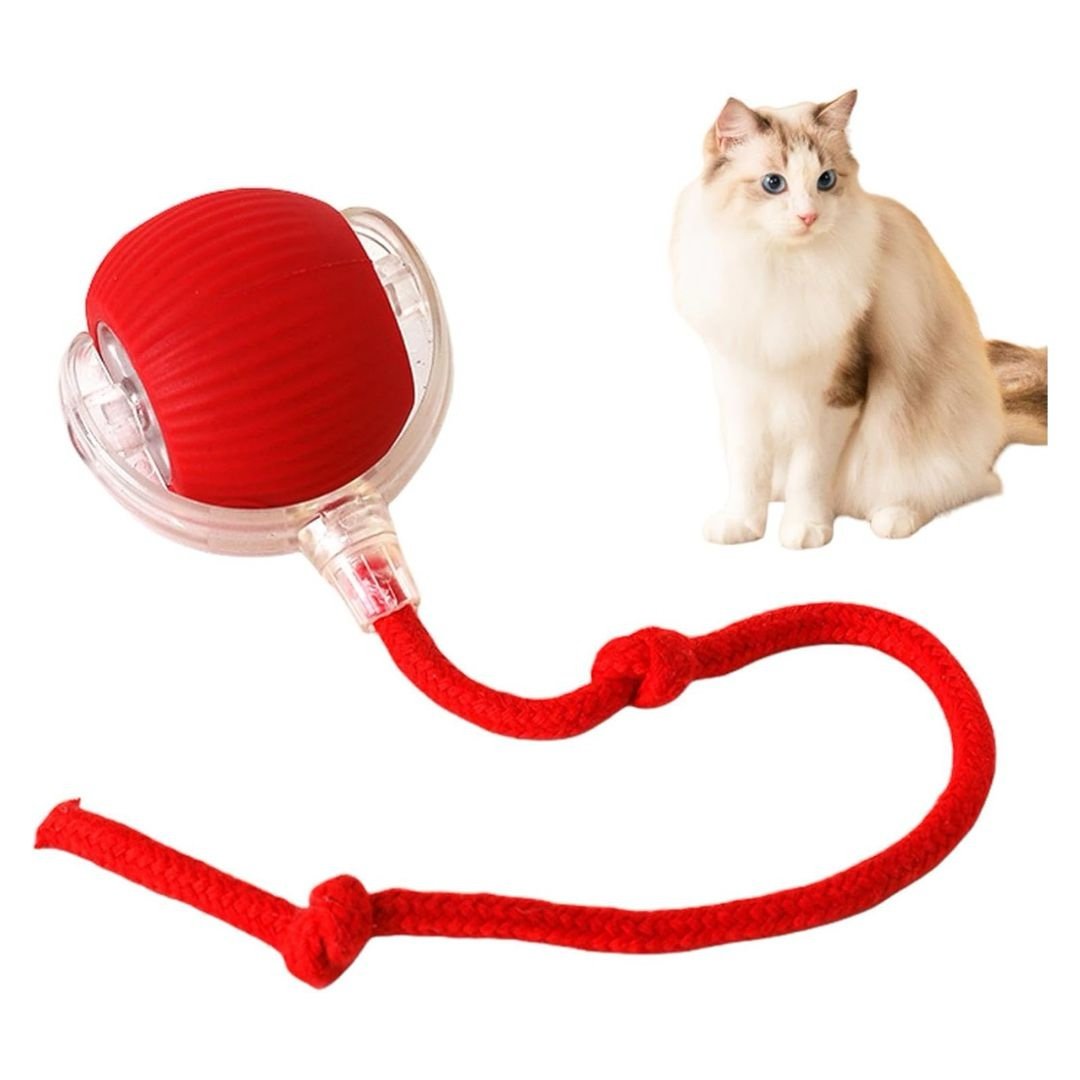 Interactive Cat Toy Ball rechargeable