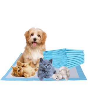 Training Pee Pads For Cats & Dogs - (Per Sheet)